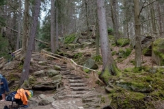 Przesieka-29.04.2025r-30