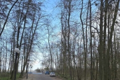 Zakonczenie-sezonu-u-Morsow-Slupca-Borowinka-58